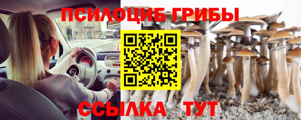 Псилоцибиновые грибы GOLDEN TEACHER Дербент